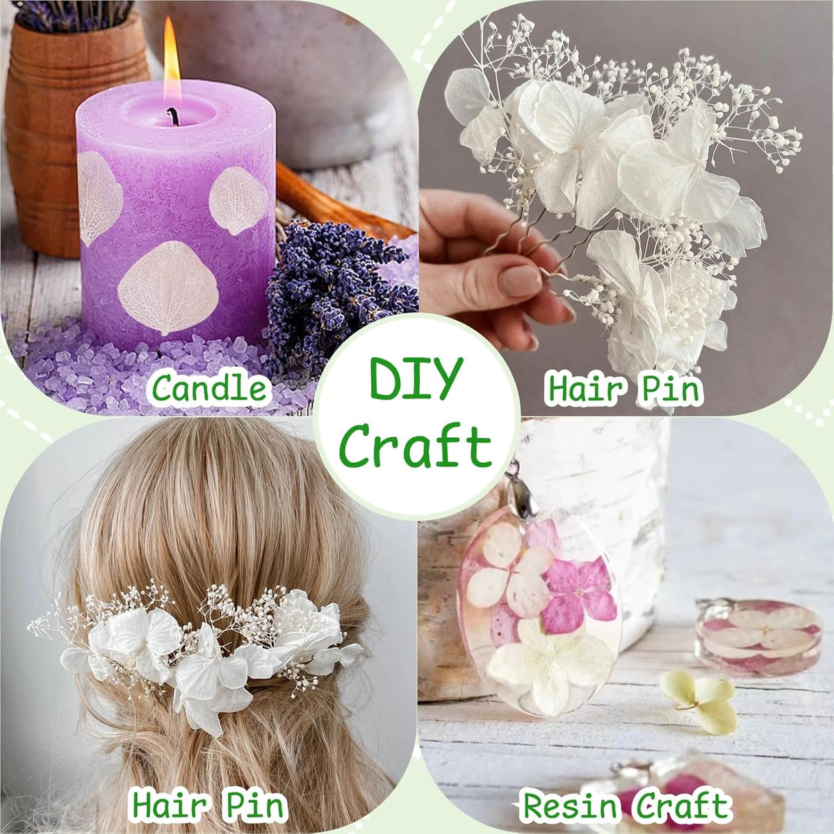 1500Pcs Real Dried Ivory White Hydrangea Flower Petals - Natural smal Petals for Wedding, Party