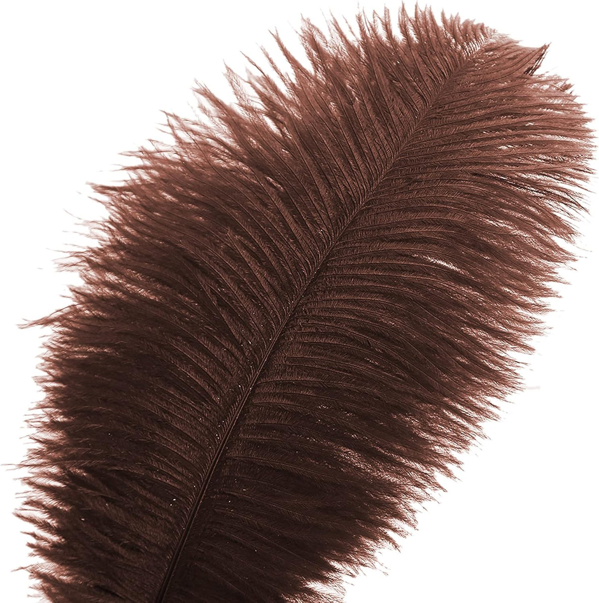 Ballinger Brown Ostrich Feathers Bulk - 24pcs 10-12inch Boho Feathers for vase，Wedding Party