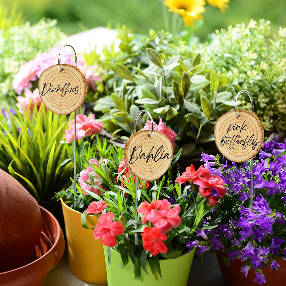Temlum Wooden Plant Labels with Marker Pen, 50 Pcs Plant Markers Garden Label Stakes Plant Sign