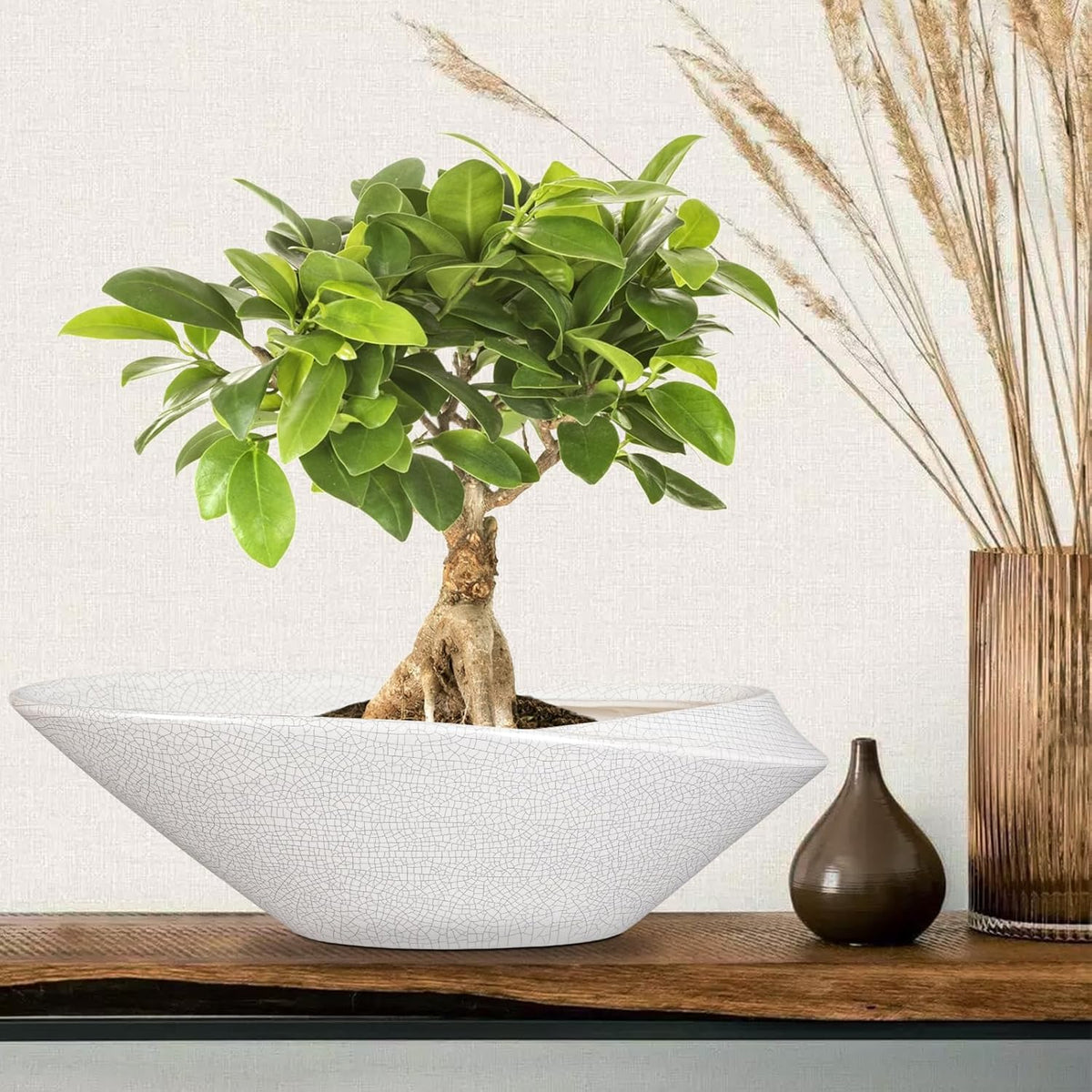 Bonsai Pots - 18 Inch Ceramic Plant Pot for Bonsai Tree, Modern Indoor & Outdoor Succulent Planter