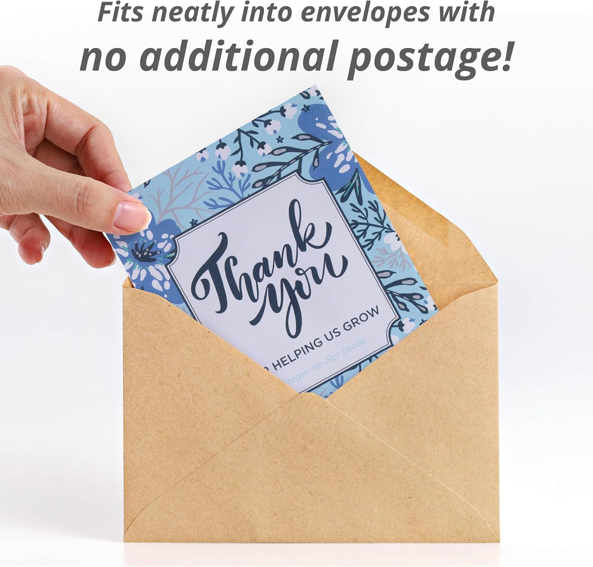 Bentley Seed Co. Thank You Packet - Help Us Grow Forget Me Not - 25 Seed Packets - Perfect
