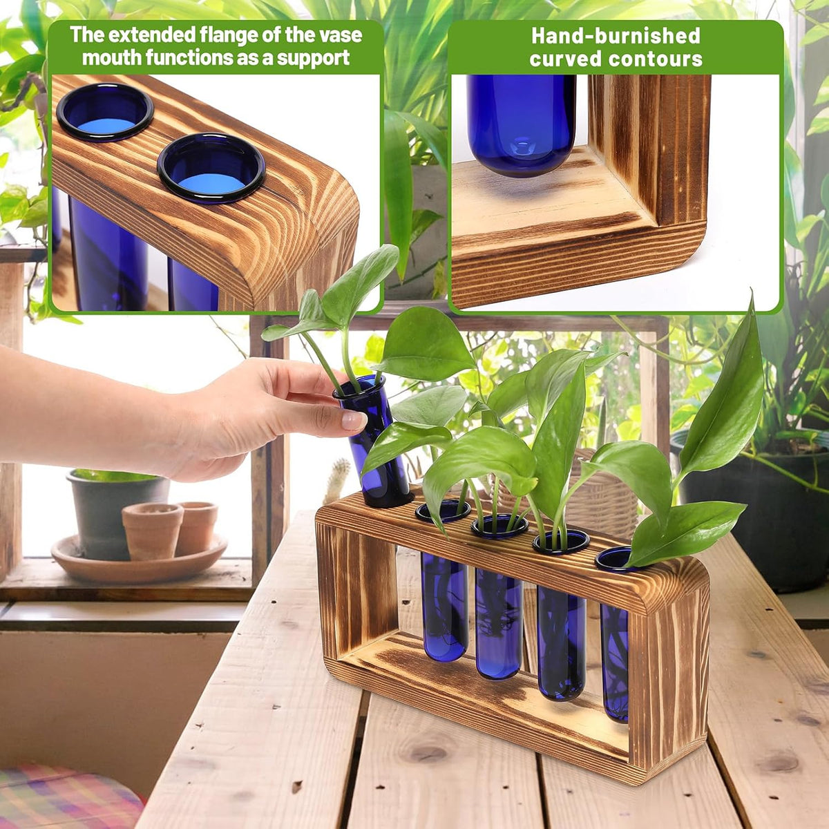 Glass Plant Propagation Station with 5 Test Tubes Colorful Planter Vase Birthday Gifts for Women in
