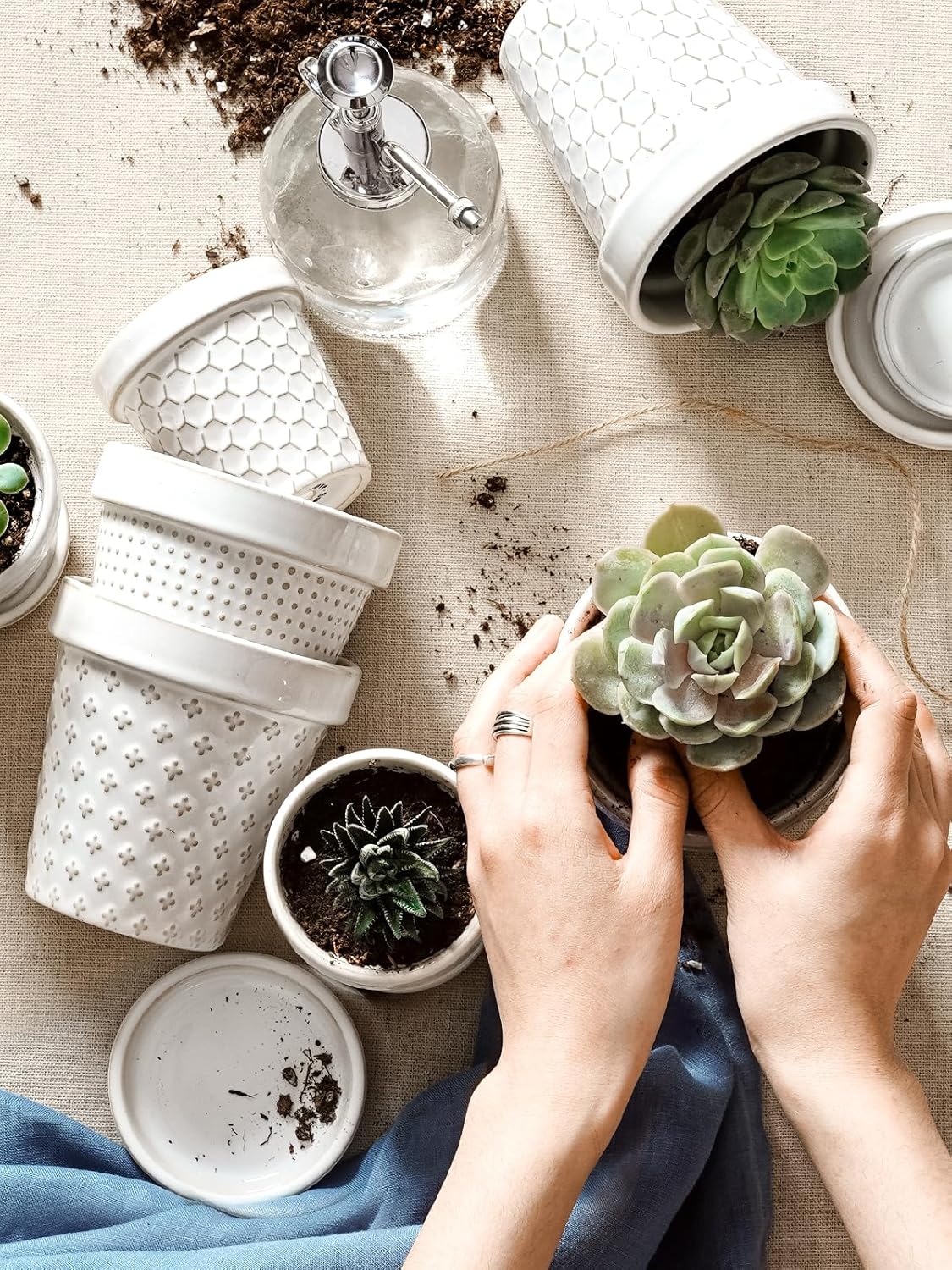 LE TAUCI Ceramic Succulent Pots, 4 Inch Small Plant Pot for Indoor Plant Cactus, Embossed Flower