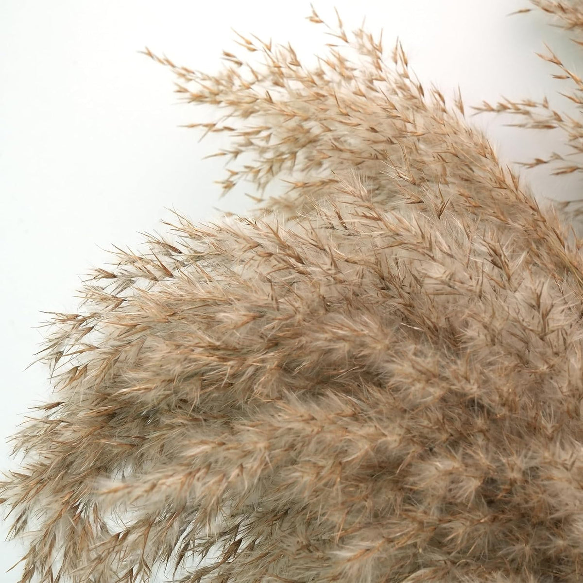 30-inch Tall Nature Pampas Grass Bouquet Decor - Boho Flowers and Feathers for Centerpieces