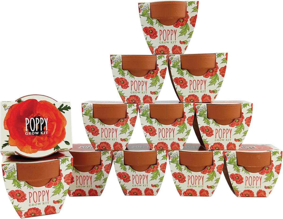 BUZZY Seeds 12-Pack Poppy Grow Kit – Mini Terracotta Pots with Poppy Seeds and Growing Medium