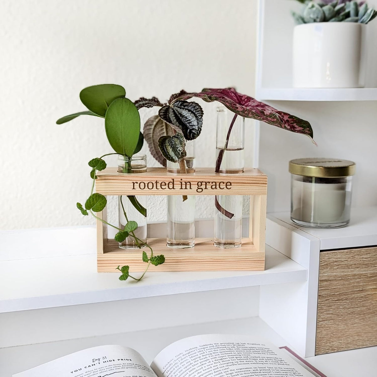 Rooted in Grace: Plant Propagation Stations: Plant Cutting Holder w/ 3 Glass Propagation Vases