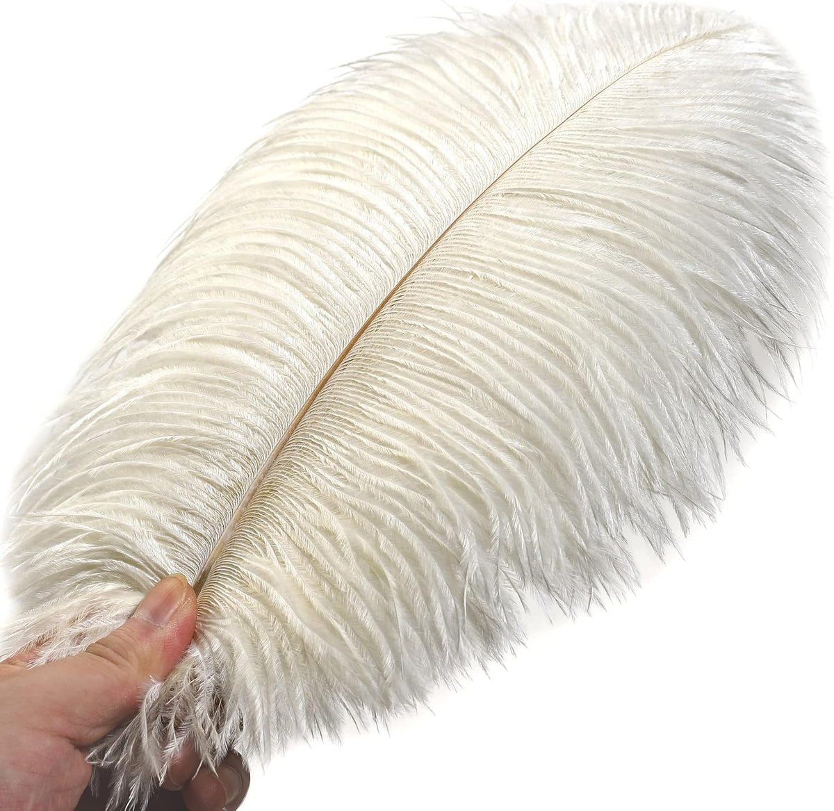 Ballinger Beige Ostrich Feathers Bulk - 24pcs 8-10inch Cream Feathers for Crafts,Wedding Party
