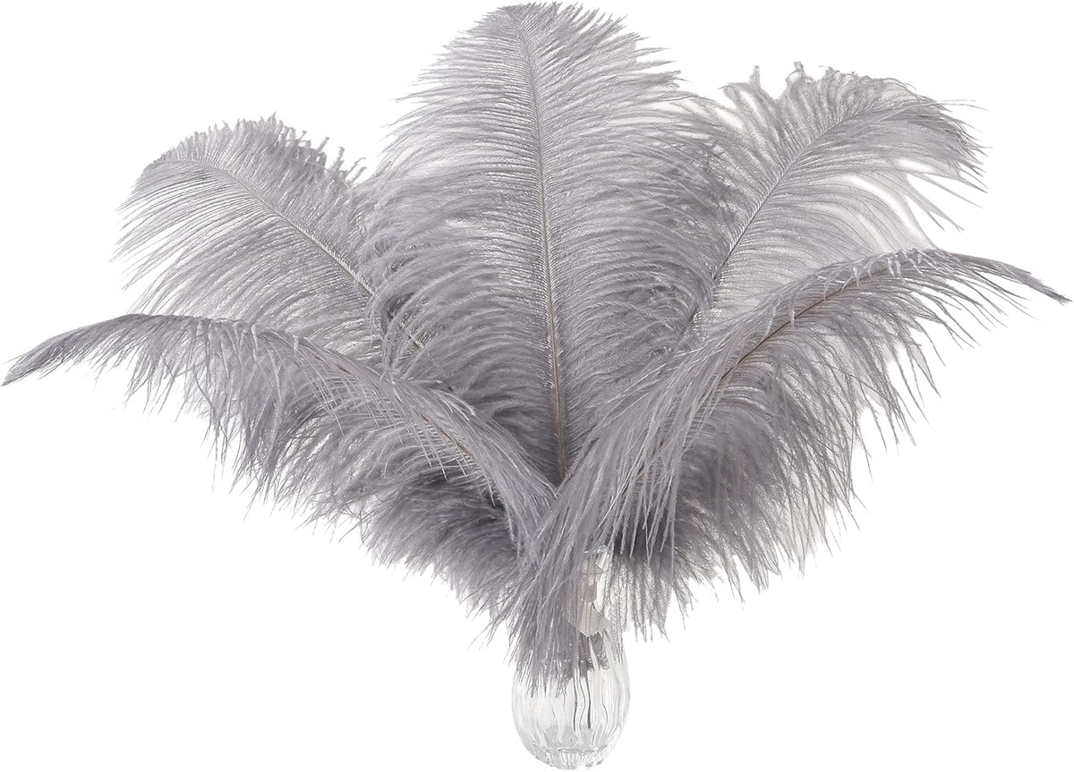 Ballinger Natural Gray Ostrich Feathers - 24pcs 12-14inch Big Feathers for Wedding Party