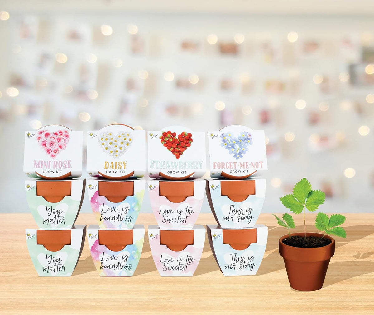 BUZZY Seeds Terracotta Mini Grow Pots Flower Plant Starter Kit – Love Collection Assorted 12-Pack