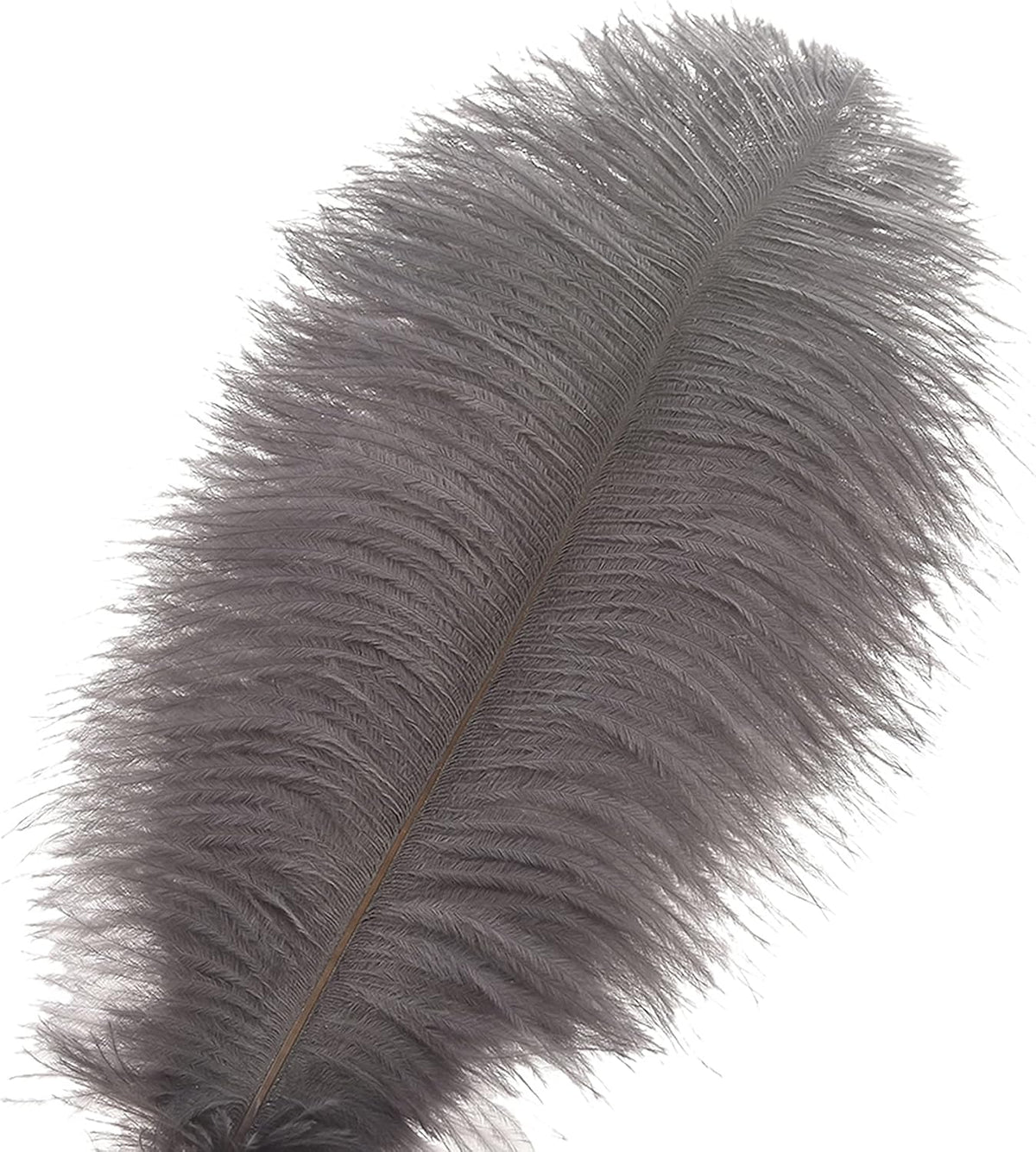 Ballinger Natural Gray Ostrich Feathers - 24pcs 12-14inch Big Feathers for Wedding Party