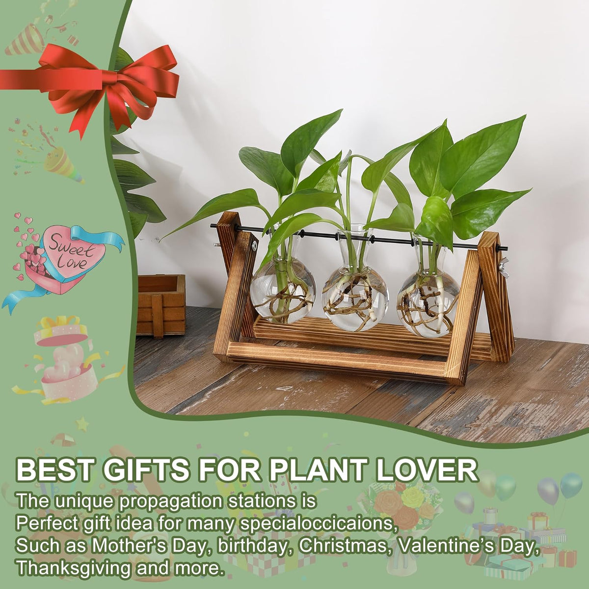 YIBOT Plants Propagation Stations,Desk Plant Terrarium with Retro Wooden Stand,Plant Lover Gifts