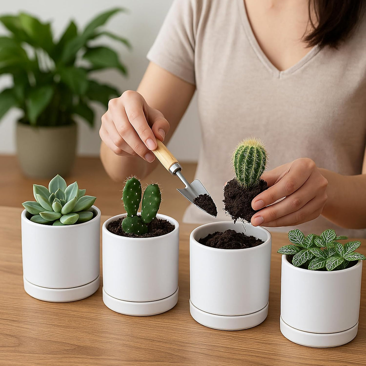 D'vine Dev Set of 4 Small Ceramic Plant Pots, 3.5 Inch Succulent Planter Pot for Plants with