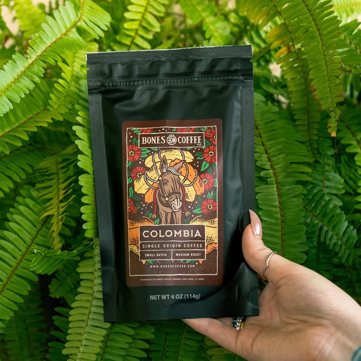 Bones Coffee Company NEW World Tour Sample Pack Box Set with Specialty Coffee Mug, 5 Assorted