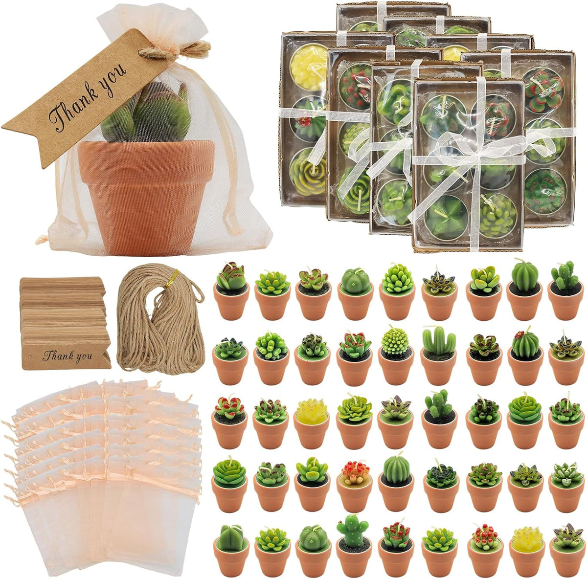 AZEAM 48 Pcs Succulent Candles Party Favors, Bulk Cactus Table Decor with Mini Terracotta Holders
