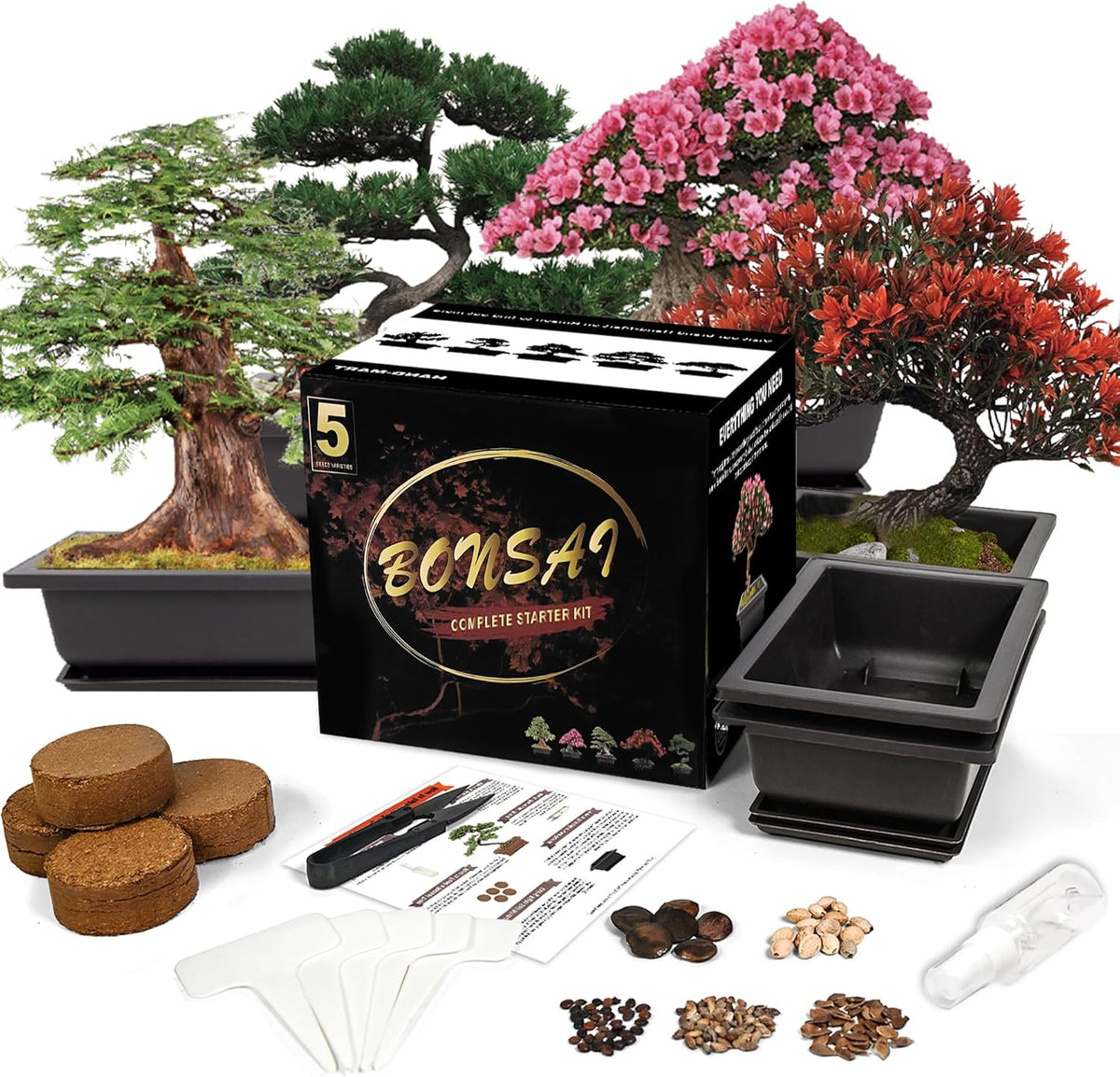 Bonsai Starter Kit, 5 Seeds Growing into Blue Spruce, Chinese Boxwood, Dawn Redwood, Flame Tree and