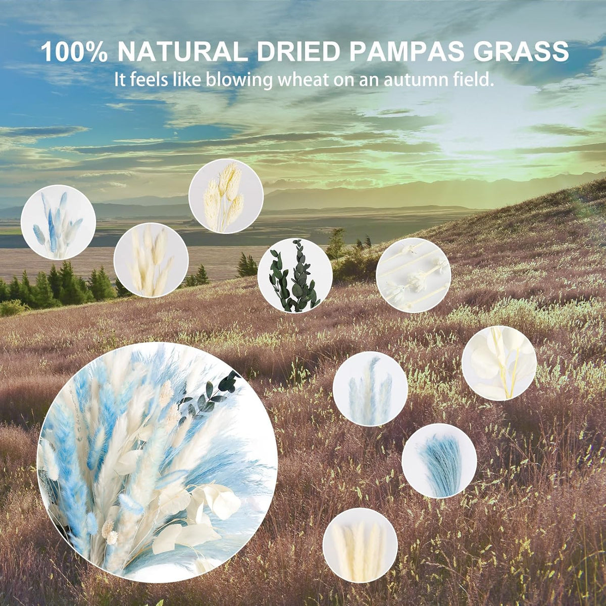 N&T NETING 101Pcs Blue Pampas Grass Decor Natural Dried Floral Pampas Grass Light Blue Boho Pampas