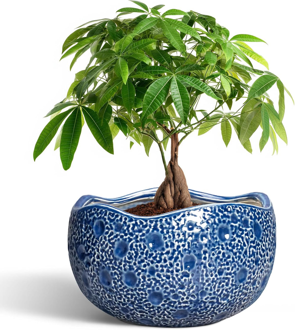 10 Inch Plant Pot - Ceramic Pots for Plants Indoor Outdoor, Round Bonsai Pots with Drainage Hole