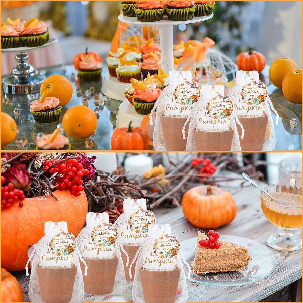 Ctosree 50 Sets Fall Baby Shower Seed Packet for Guests a Little Pumpkin is on The Way Gifts