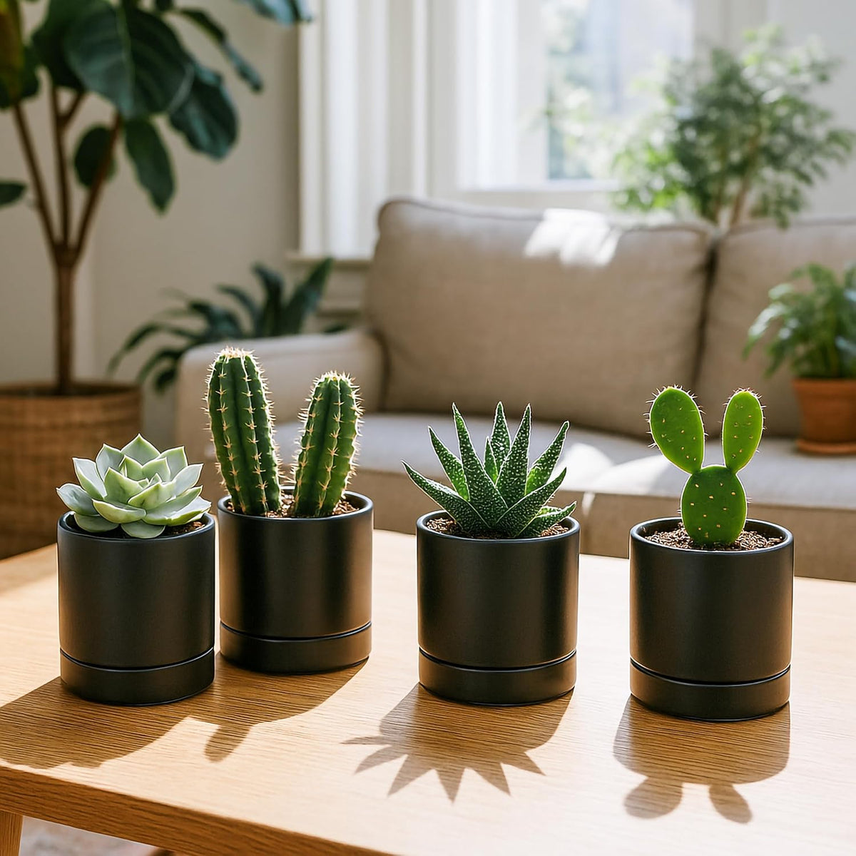 D'vine Dev Set of 4 Small Ceramic Plant Pots, 4.7 Inch Succulent Planter Pot for Plants with