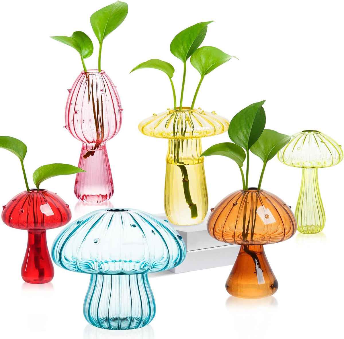 Plant Propagation Station, Set of 6 Colored Mushroom Vase, Propagation Stations, Small Plant