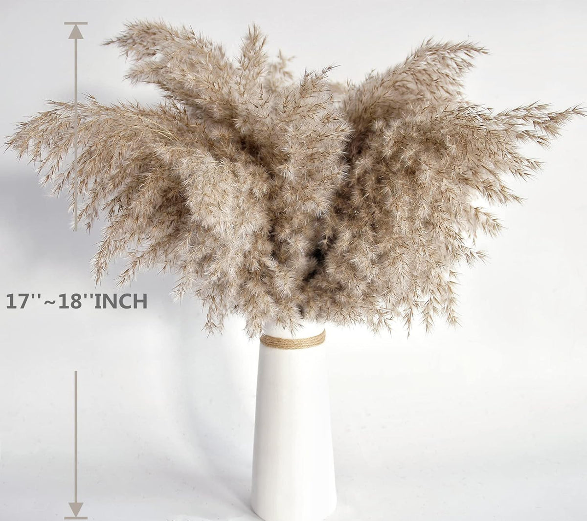 Pampas Grass Decor, Natural Dry Pampas Grass Small, Short Pampass Bulk for Farmhouse, Wall