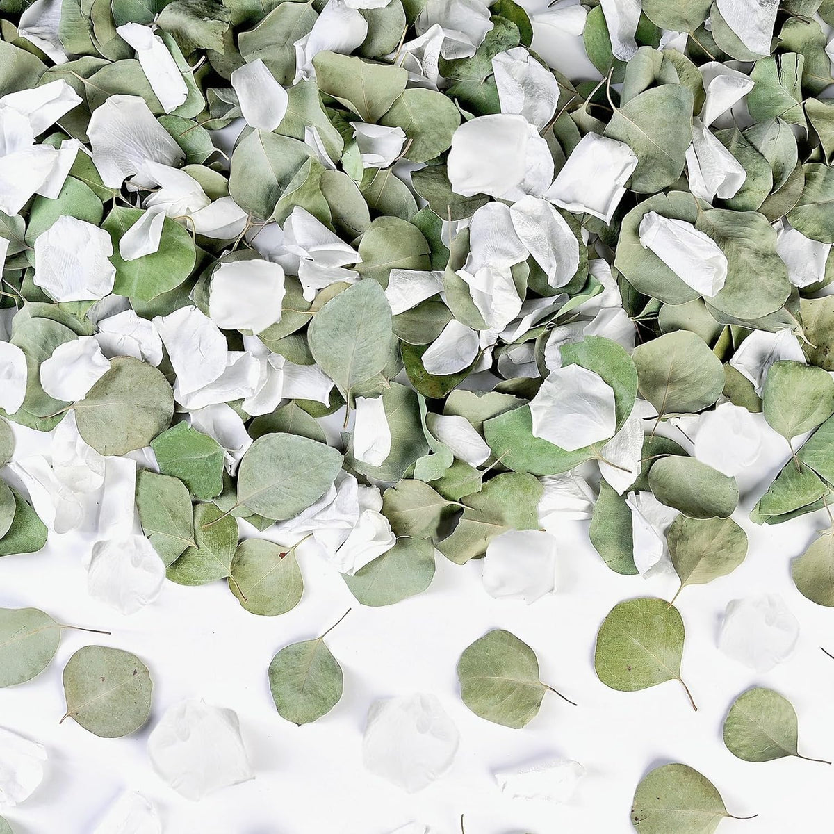 Real White Rose Petals & Natural Eucalyptus Leaves 2.12oz, Freeze Dried Flower Petals Confetti for