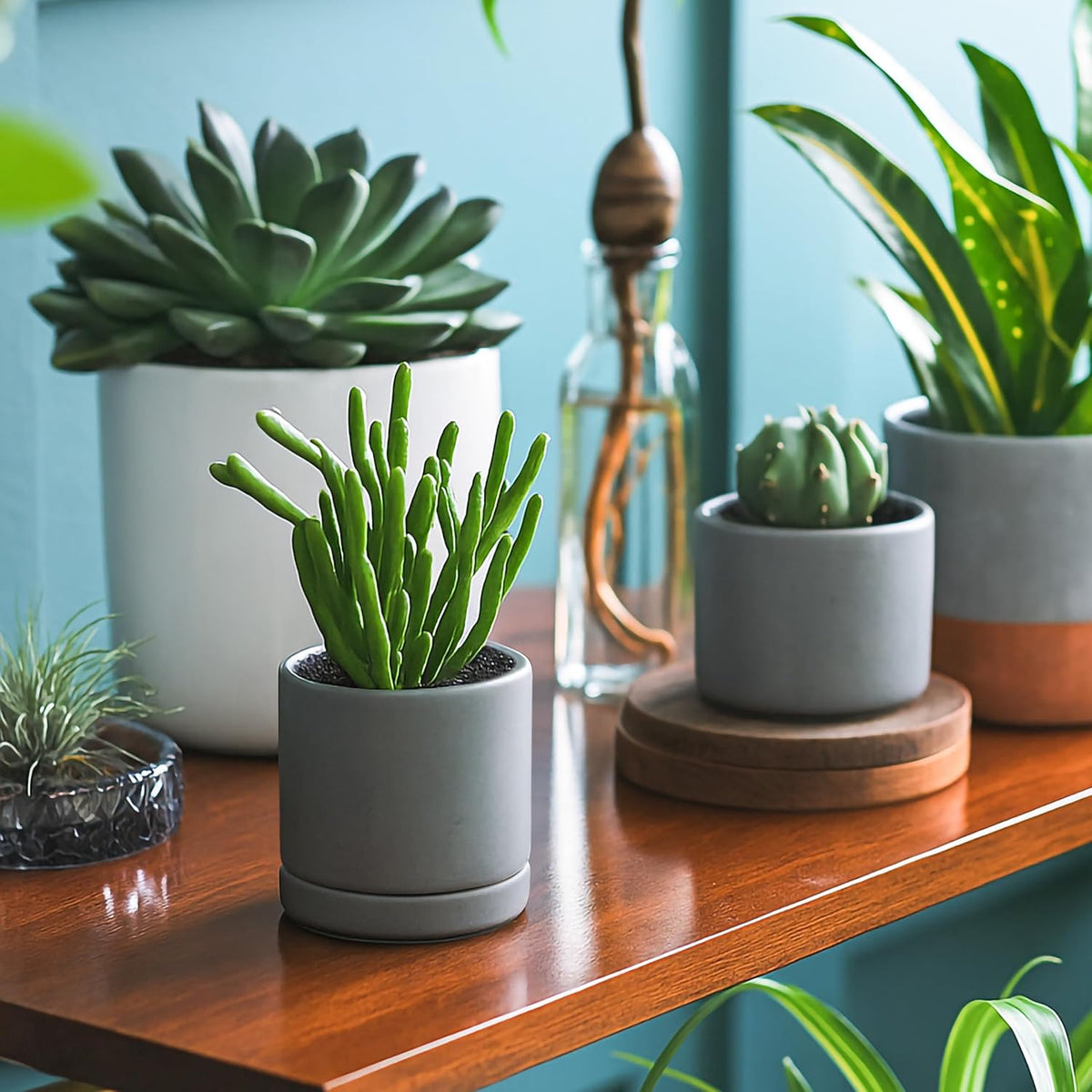 D'vine Dev Set of 4 Small Ceramic Plant Pots, 3.5 Inch Succulent Planter Pot for Plants with