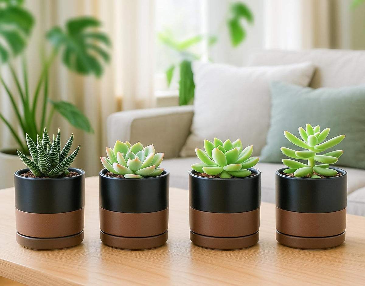 D'vine Dev Set of 4 Small Ceramic Plant Pots, 3.5 Inch Succulent Planter Pot for Plants with