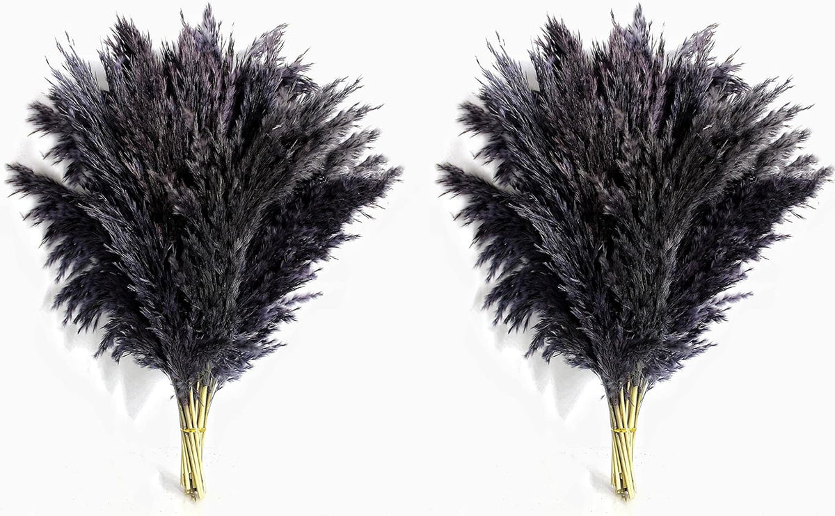 Black Pampas Grass for Home Decor - Elegant Boho Decor - Premium Quality Pampas Grass Stems