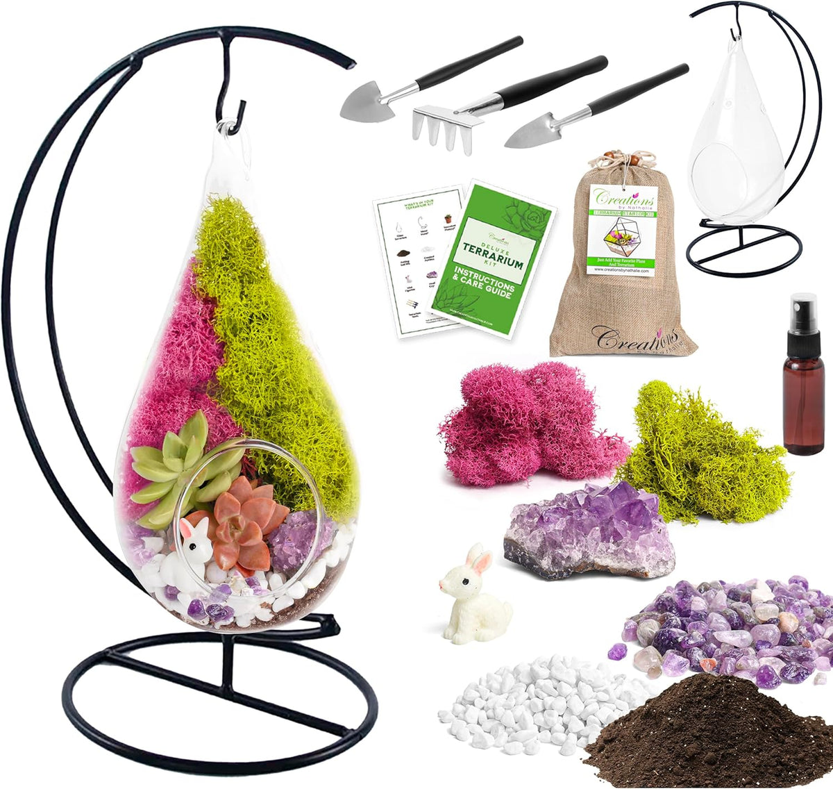 7" DIY Teardrop Terrarium Kit with Live Plants - Hanging Glass Planter with Stand for Adults & Kids