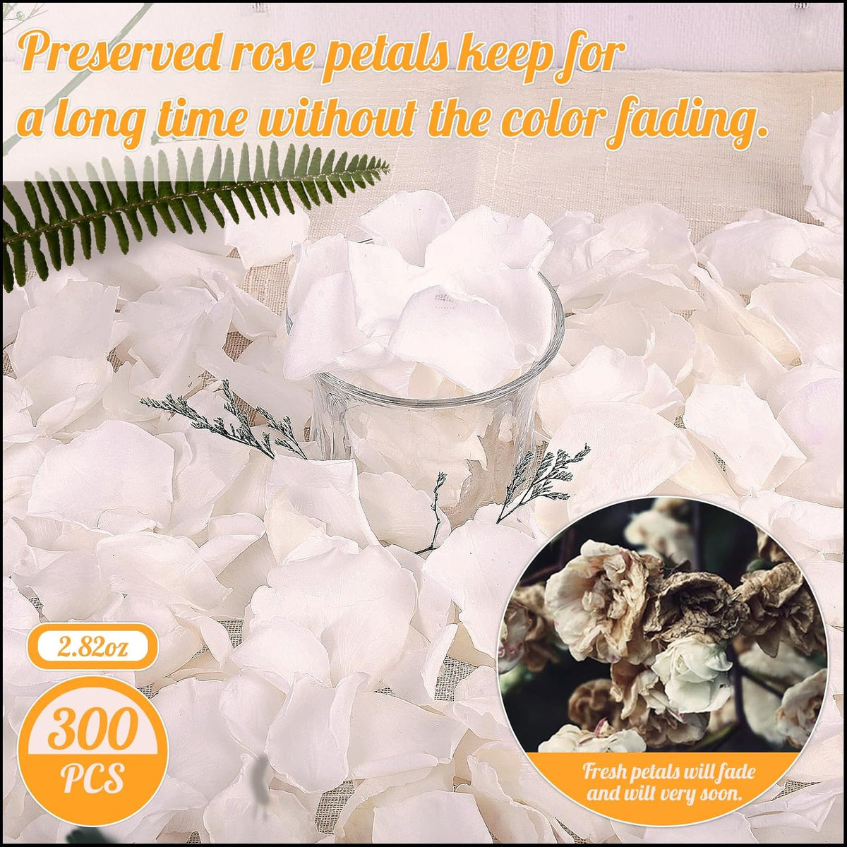 300 PCS Real White Rose Petals for Wedding, 2.82oz Fresh Rose Petals for Flower Girl to Throw
