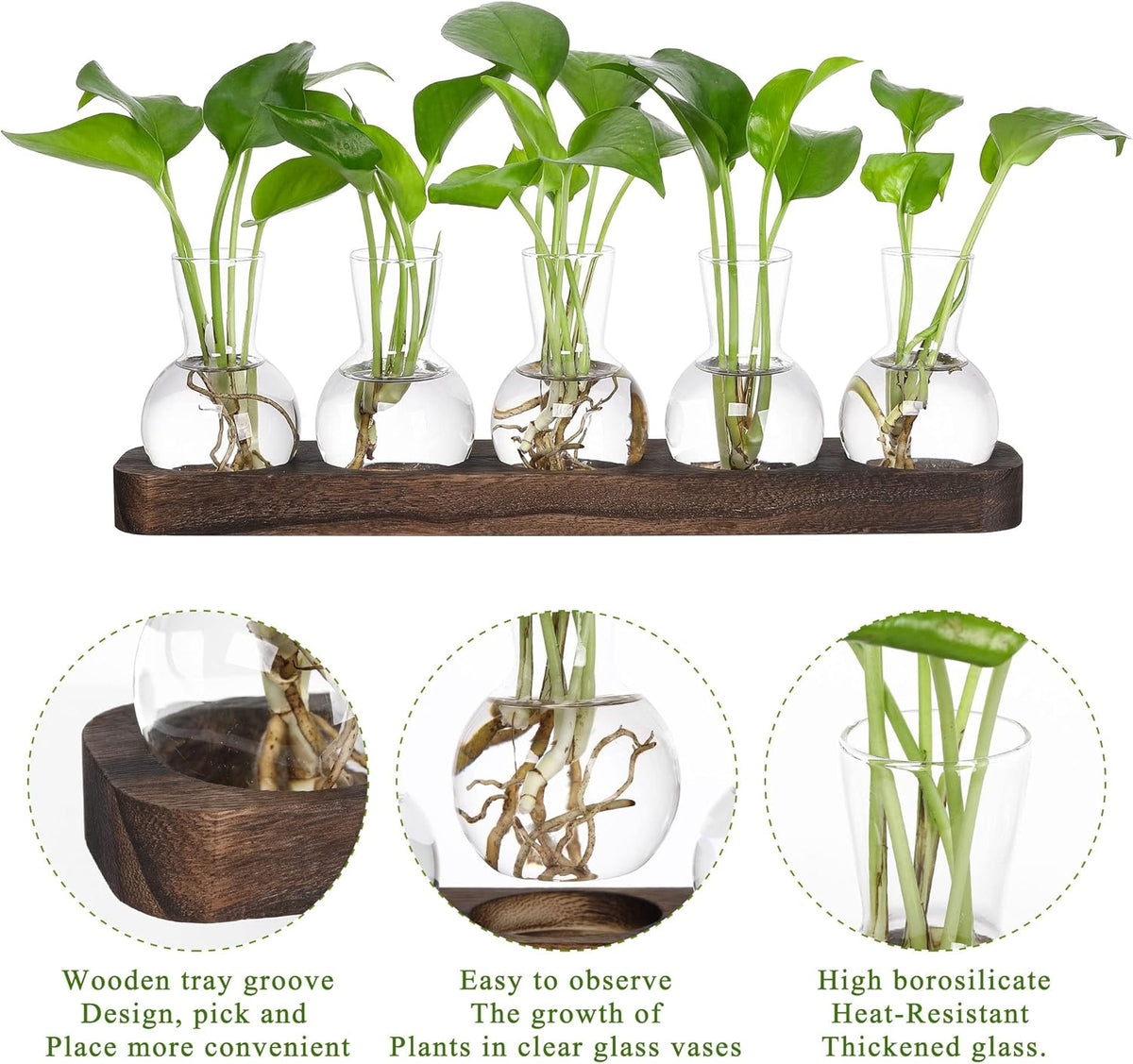 YIBOT Plant Propagation Stations,Glass Propagation Vases for Plants Terrarium with Wooden Tray