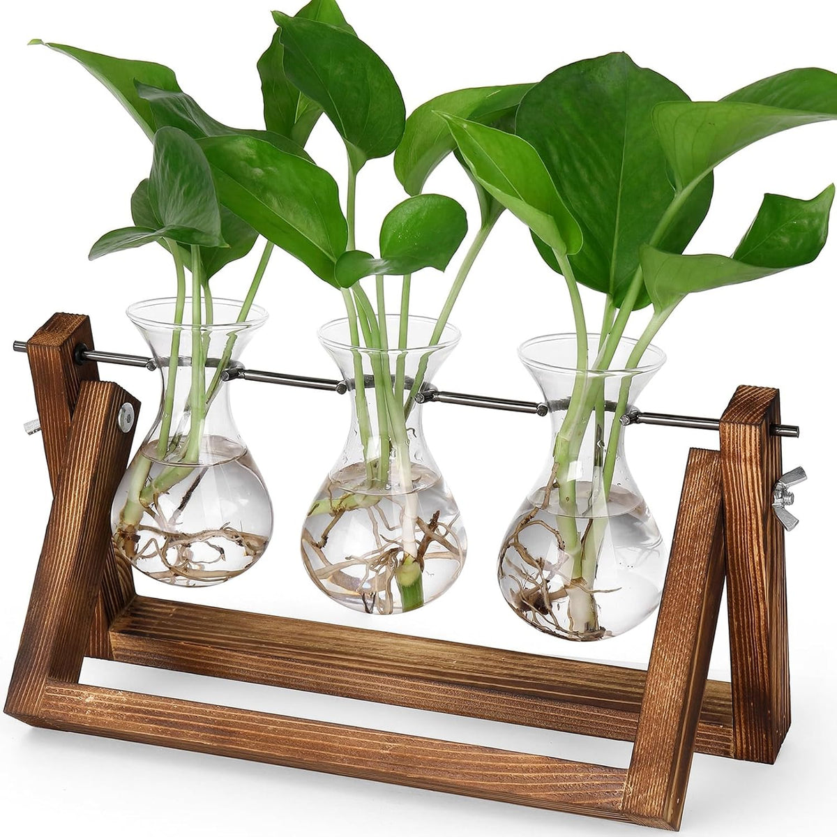 YIBOT Propagation Stations,Plant Terrarium with Retro Wooden Stand, Unique Gardening Birthday Gifts