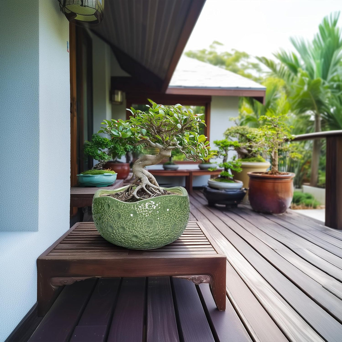 Ceramic Pots for Plants - 10 Inch Plant Pot for Indoor Outdoor, Round Bonsai Pots with Drainage