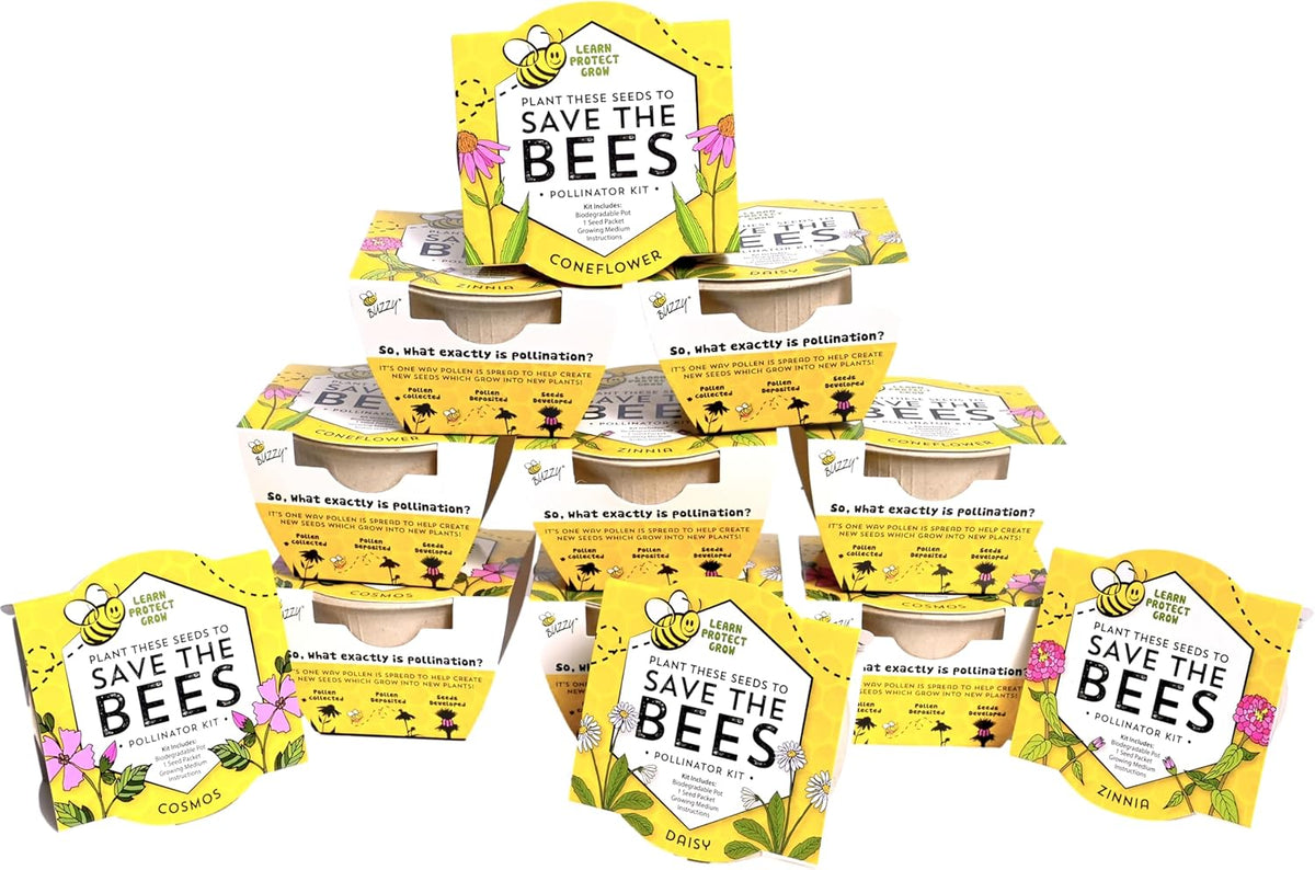 Buzzy Seeds Save The Bees Biodegradable Grow Kit | Herb, Plant, Flower Starter Kit for Kids &