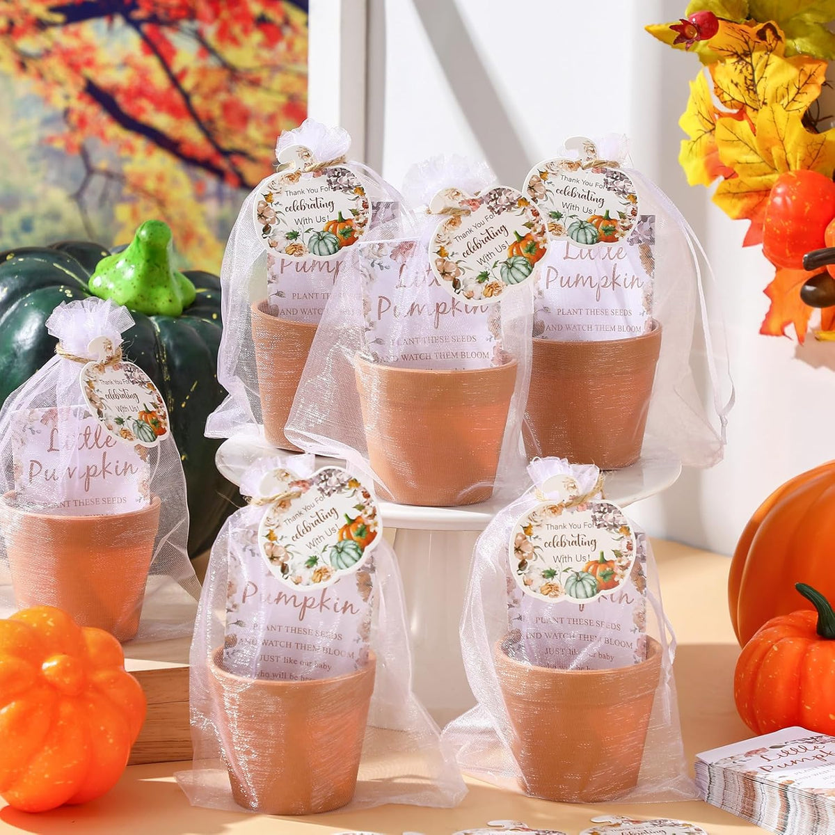 Ctosree 50 Sets Fall Baby Shower Seed Packet for Guests a Little Pumpkin is on The Way Gifts
