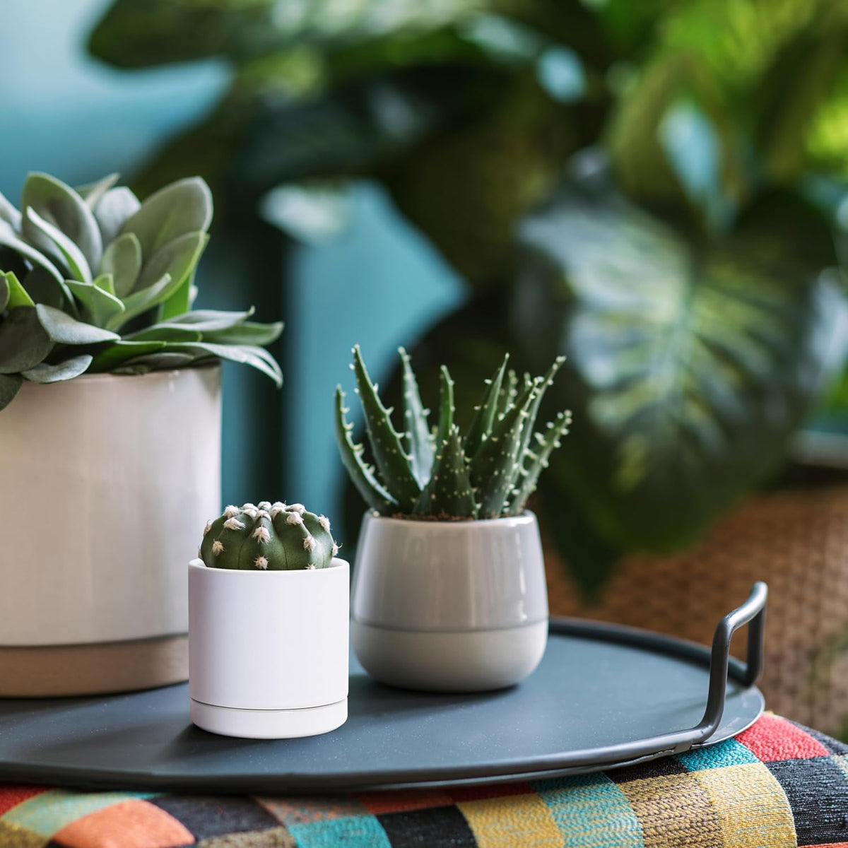 D'vine Dev Set of 4 Small Ceramic Plant Pots, 3.5 Inch Succulent Planter Pot for Plants with