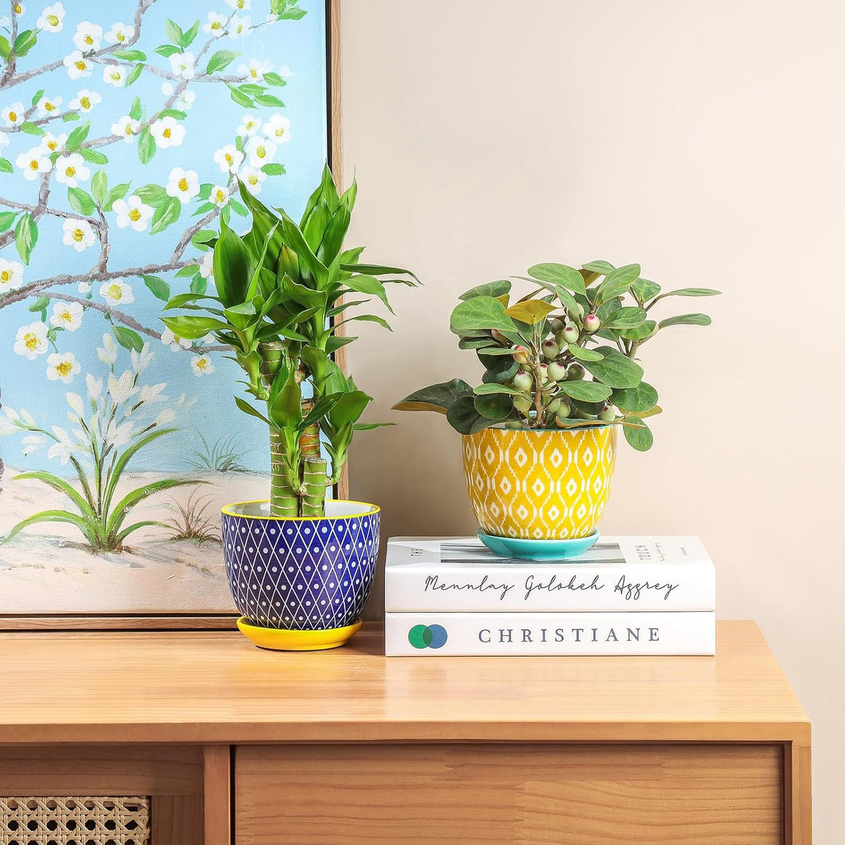 Selamica Ceramic Plant Pots, 4.6 Inch Flower Pots for Indoor Plants, Succulent Pots with Drainage
