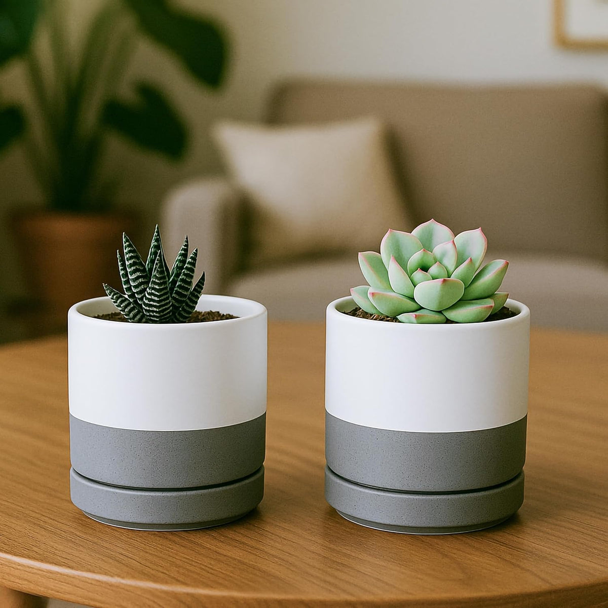 D'vine Dev Set of 4 Small Ceramic Plant Pots, 3.5 Inch Succulent Planter Pot for Plants with