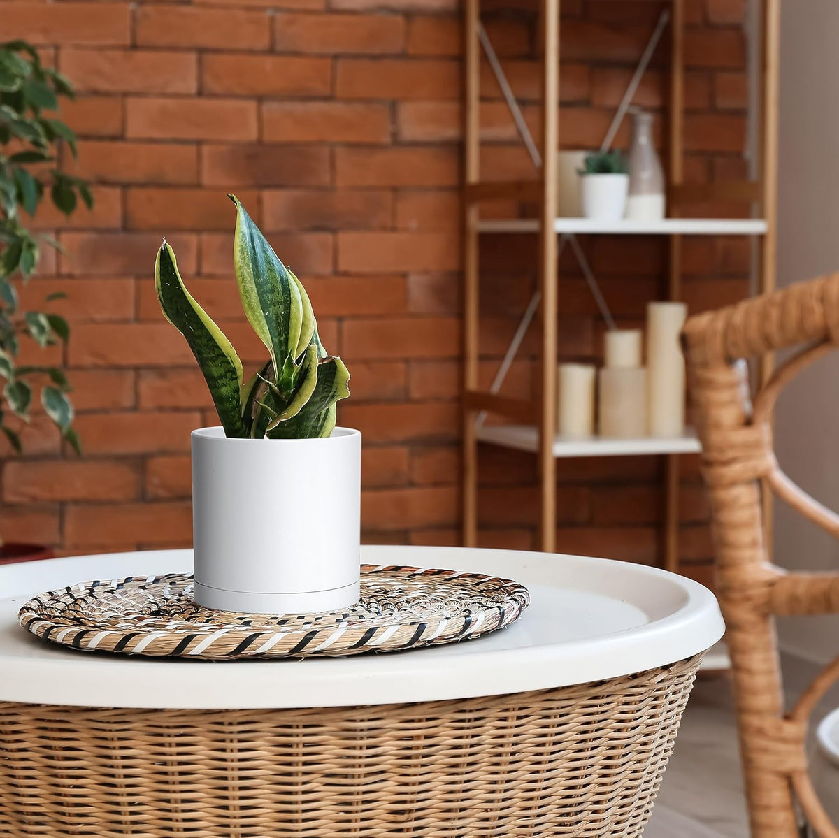 D'vine Dev 2 Pack 6 Inch Modern Plastic Plant Pots, Small Garden Planters for Plant with Drainage