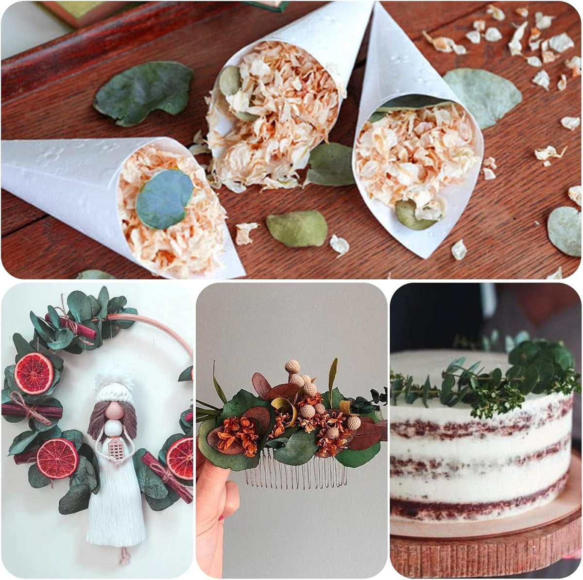 3200Preserved Real Eucalyptus Leaves Small, Pure Natural Bulk Eucalyptus, Biodegradable Wedding