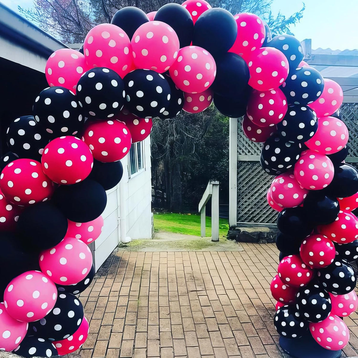 Pink and Black Balloons, Hot Pink Balloons White Dots Black White Dots Balloon with Confetti