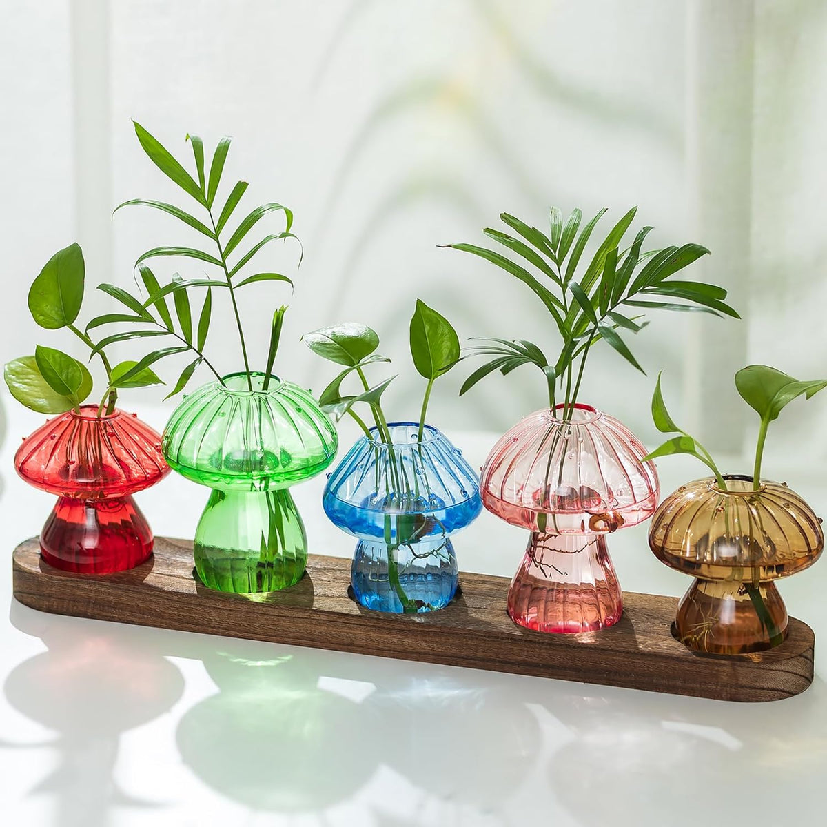 Glass Propagation Station for Plant: Mushroom Planter with Wooden Stand for Home Office Decor