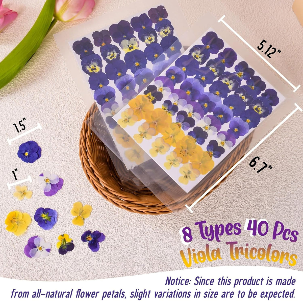 40 Pcs 8 Kinds Natural Dried Pressed Edible Flowers for Cake Topper Decorating - Mix Viola Tricolor