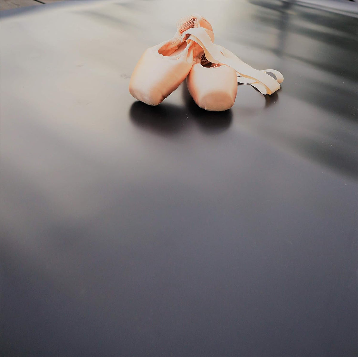 Marley Dance Floor- Ideal for Ballet, Jazz, Tap, and Party Dancing for All Ages- Non-Slip Dance
