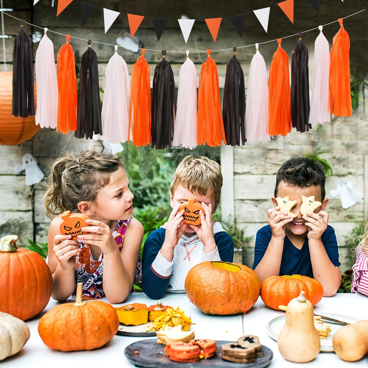 Black White Orange Halloween Party-Decorations - 23pcs Tissue Pom Poms Streamers,Tassel Garland