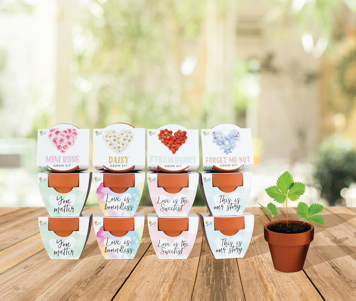 BUZZY Seeds Terracotta Mini Grow Pots Flower Plant Starter Kit – Love Collection Assorted 12-Pack