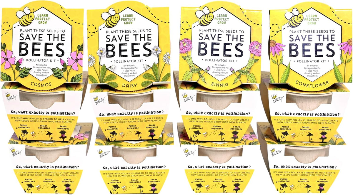 Buzzy Seeds Save The Bees Biodegradable Grow Kit | Herb, Plant, Flower Starter Kit for Kids &