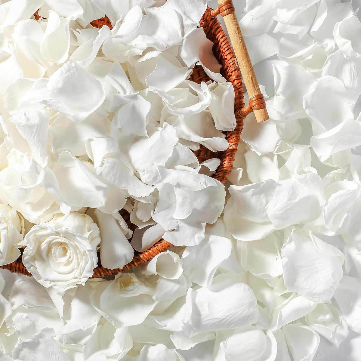 Real Dried Ivory White Rose Petals, Frozen Preserved Petals for, Wedding Party Decorations, Bio