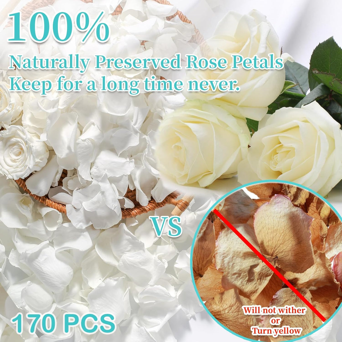Real Dried Ivory White Rose Petals, Frozen Preserved Petals for, Wedding Party Decorations, Bio